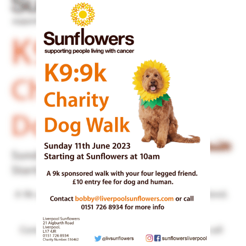 K9:9K Charity Dog Walk - Liverpool Chamber of Commerce